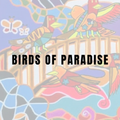 Birds of Paradise